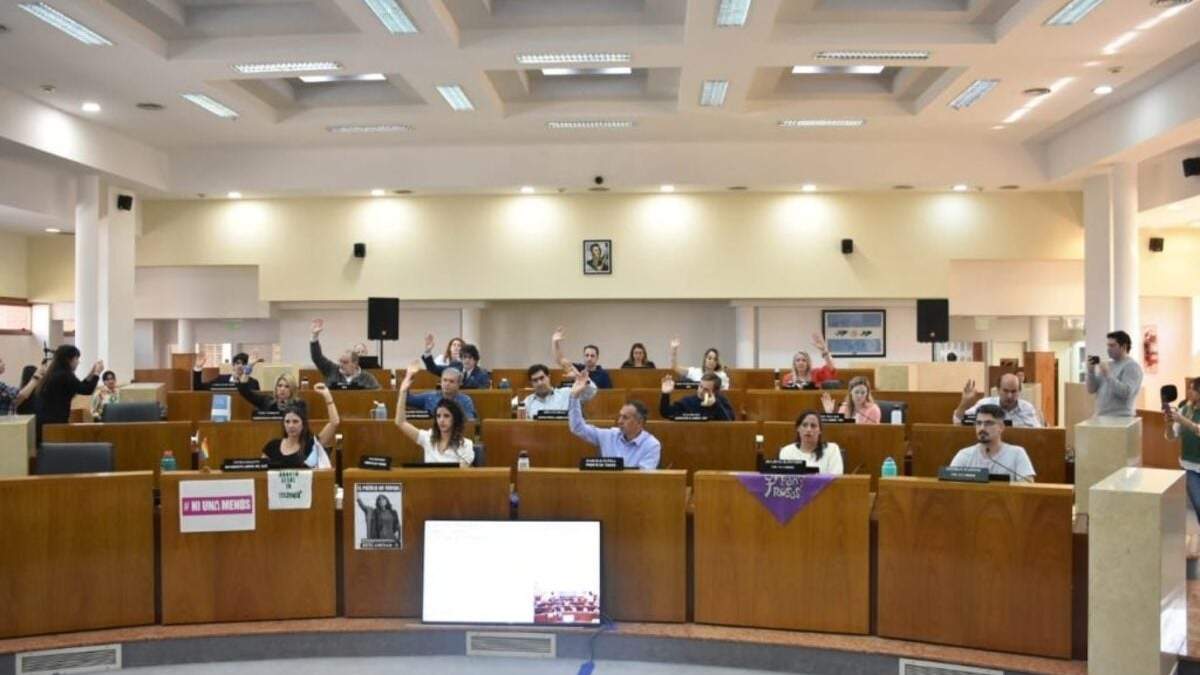 Libres del Sur presentó el proyecto de Taxi Rosa. Fuente: (Facebook).