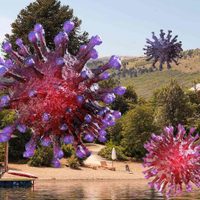 Extraño brote de coronavirus afectó a vacunados de una localidad neuquina