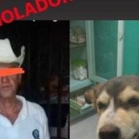 Investigan a un sujeto que violó y provocó la muerte de una perrita en Neza