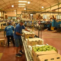 Después del incendio, la empresa Cervi retoma su actividad