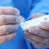 Qué hará Neuquén ante la venta libre de test rápidos de coronavirus