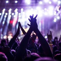 El vino, el Gin y la cerveza con ritmo musical