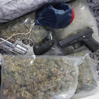 Incautan casi 10 kilos de drogas en San Martín de los Andes: el mayor secuestro en años