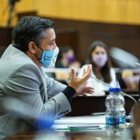 Mansilla se aleja del Frente de Todos