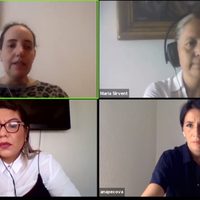 ONG presentan amparo por incumplimiento para publicar lineamientos de la Ley de Amnistía