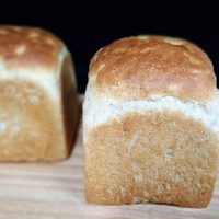 Pan sin harina: la receta más fácil para hacer tostados y lista en pocos minutos