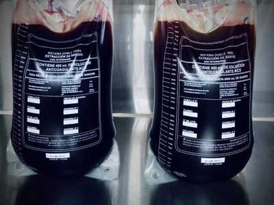 Birmex concluye la primera cosecha de suero equino para tratamiento contra el covid-19