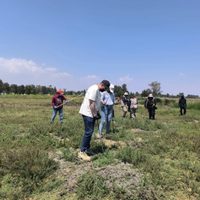 Localizan 219 restos óseos de humanos en los límites de la CDMX y Edomex