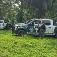 Hallan ocho fosas clandestinas en Playa Vicente, Veracruz