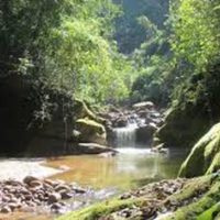 El paraíso escondido con fauna salvaje que pocos conocen