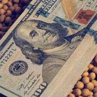 Dólar soja: se esperan ingresos de 2.000 millones de dólares