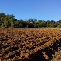 Tras los reclamos del campo, la provincia anunció cambios en el impuesto inmobiliario rural