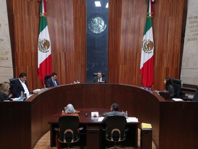 TEPJF respalda dirigencia de Morena ante impugnación de militantes