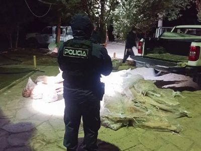 Decomisaron más de 700 kilos de carne transportada en la caja de una camioneta