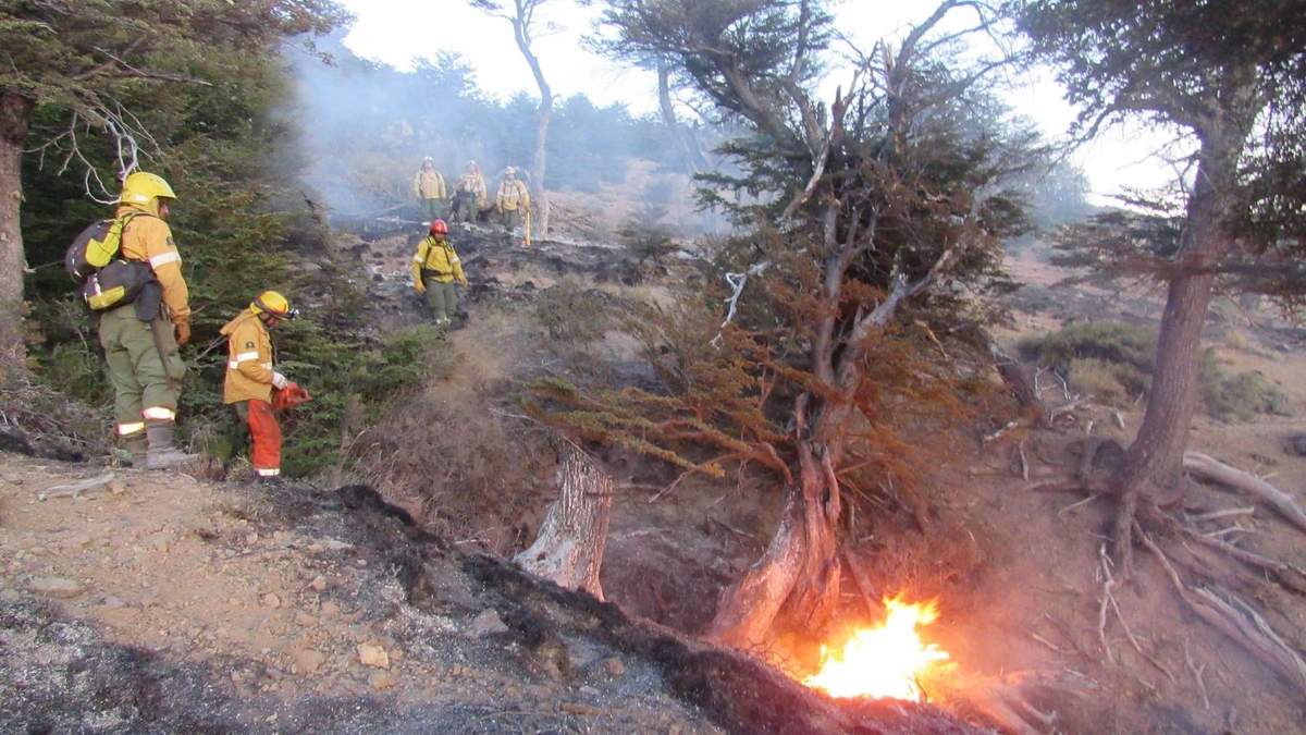 Incendio en El Bolsón. Fuente: (Twitter)