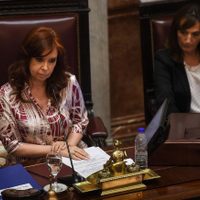 El Senado aprobó los pliegos de los embajadores enviados por el Gobierno