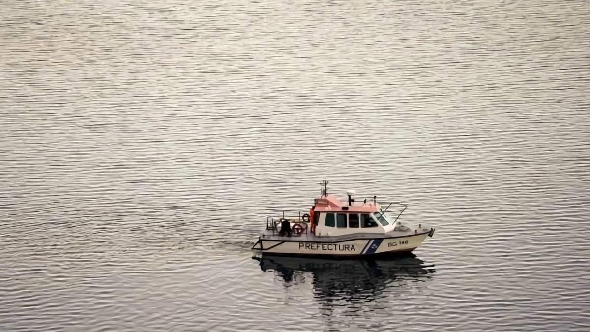 Operativo de búsqueda y rescate en inmediaciones del Lácar. Fuente: (Twitter)