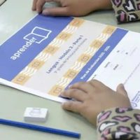 Pruebas Aprender: en lectura, el Gobierno festeja y expertos cuestionan