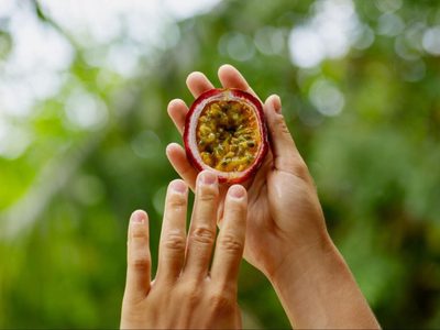 La planta que podés cultivar en maceta y da un fruto que casi no se consigue