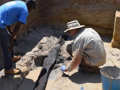 Esta simple estructura de troncos puede ser el ejemplo más antiguo de construcción humana con madera