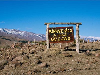 Trabajadores de la Salud de Las Ovejas utilizaron el caballo de un criancero para rescatar a una senderista