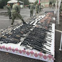 La Sedena destruye 620 armas y más de 20 mil cartuchos decomisados en Guerrero (Video)