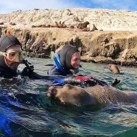 Buceo con ballenas en Puerto Madryn: una propuesta única solo para enamorados de la Patagonia