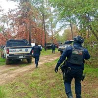Hallan cuatro ejecutados en campamento clandestino en Zinapécuaro, Michoacán