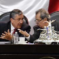 Guardia Nacional es una 'apuesta riesgosa”: ombudsman ante legisladores
