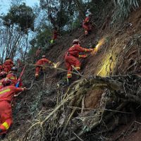 No hay sobrevivientes tras desplome del Boeing 737-800 de China Eastern