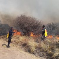 Volvió el fuego a Córdoba: se declararon dos nuevos focos de incendio
