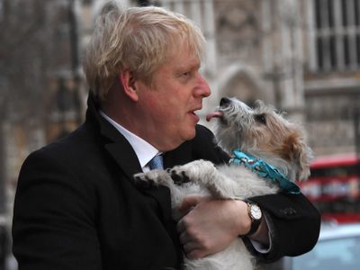 Boris Johnson arrasa en elecciones británicas y apuntala al Brexit
