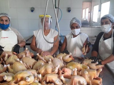Gripe aviar: productores de pollos parrilleros en crisis por la disposición del SENASA