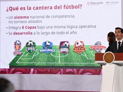 El “Mundialito en las escuelas” ya tiene fecha de inscripción; estas son las categorías
