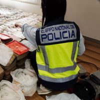 Un hallazgo de cocaína en Tenerife, clave para la caída del cártel de Sinaloa en España