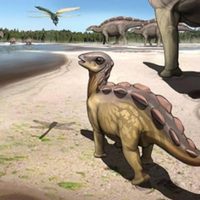 Huella de dinosaurio del tamaño de un gato descubierta en China
