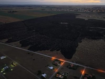 Un incendio forestal arrasó más de 200 hectáreas en Mar del Plata