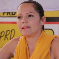 'Ilegal”, el contrato otorgado por gobierno de Colima a dueño de Ecoparc: PRD