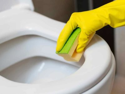 Con solo 2 productos, el truco de los expertos para dejar el tanque del inodoro como si fuera nuevo en minutos