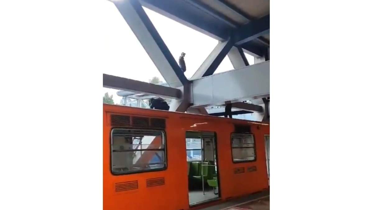 Momento del rescate de un hombre en el Metro