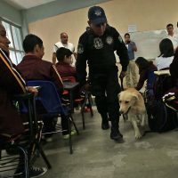 Autoridades y padres de familia proponen uso de mochilas transparentes en Nuevo León