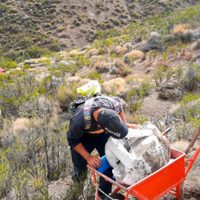 Hallaron fósiles de un reptil marino en cercanías de Taquimilán