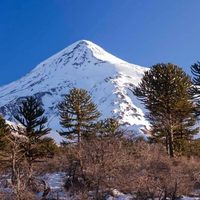 Volcán Lanin: Parques Nacionales convocará a la Provincia y a los pueblos originarios
