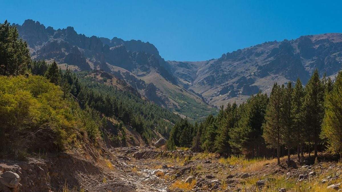 Bosque Comunal de Huinganco. Fuente: (Neuquén Informa)