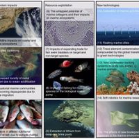 Conoce cuáles son la 15 amenazas a la biodiversidad marina y costera