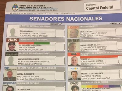 Elecciones 2023: especialistas pidieron la instalación de una boleta única de papel
