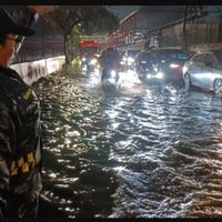 Lluvias colapsan la CDMX; inundaciones, afectaciones viales y caída de árboles (Video)