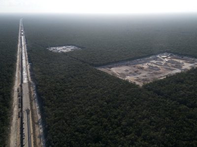 La simulación del cuidado del medio ambiente en México