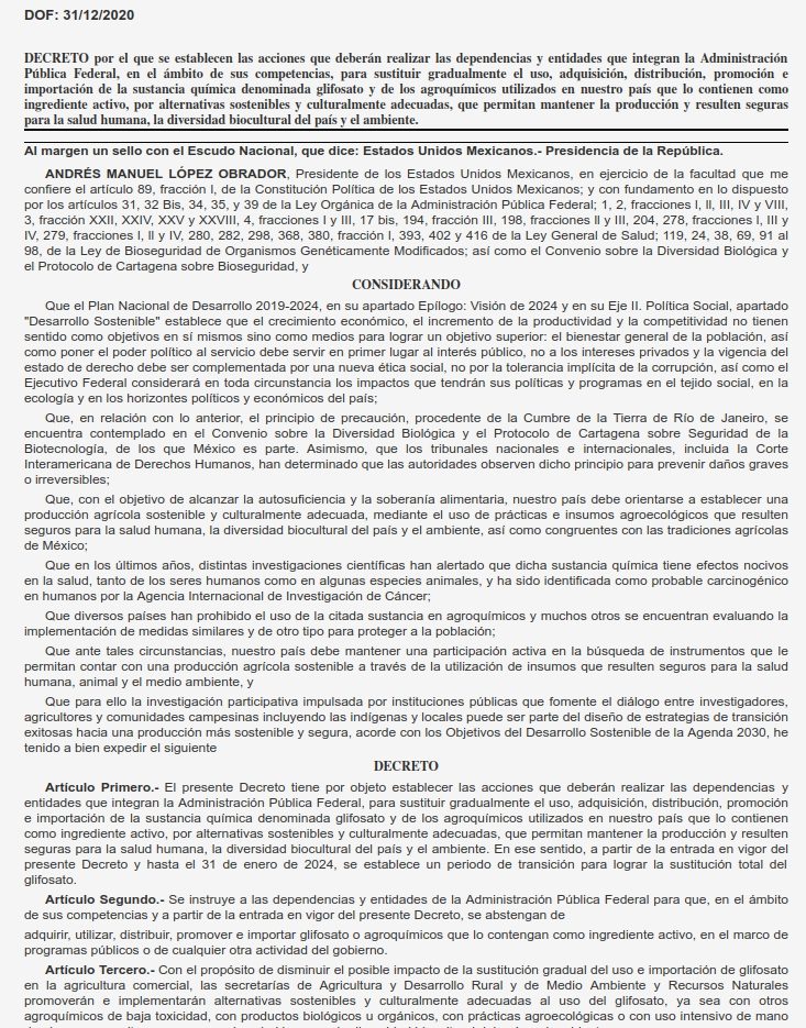 02_decreto_párrafo_05