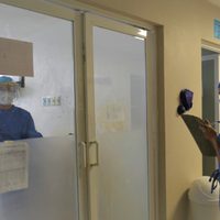 Guanajuato registra dos casos de miasis por gusano barrenador en adultos mayores